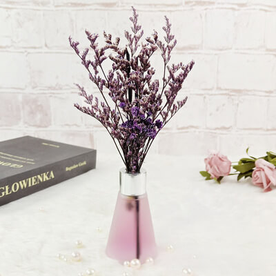 淺紫色香格裡拉